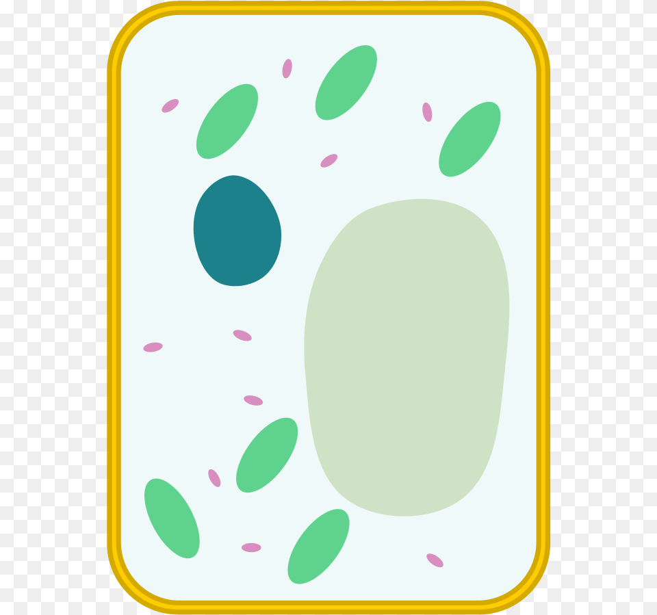Location Plant Cell, Pattern, Paper, Hot Tub, Tub Free Png