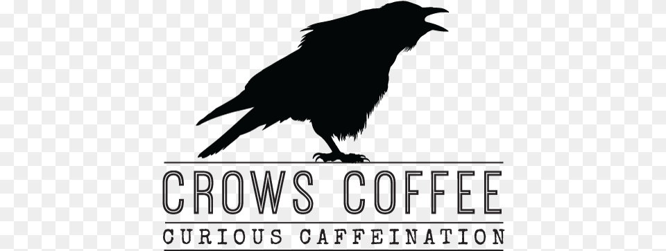 Locationsmenu Crows Coffee Red Bridge, Scoreboard, Animal, Bird, Blackbird Free Png Download
