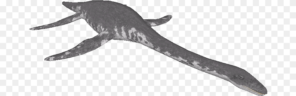 Loch Ness Monster Marine Invertebrates, Blade, Dagger, Knife, Weapon Free Png