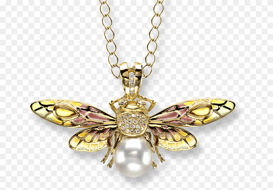 Locket, Accessories, Jewelry, Necklace Free Png