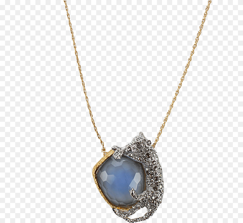 Locket, Accessories, Jewelry, Necklace, Gemstone Png