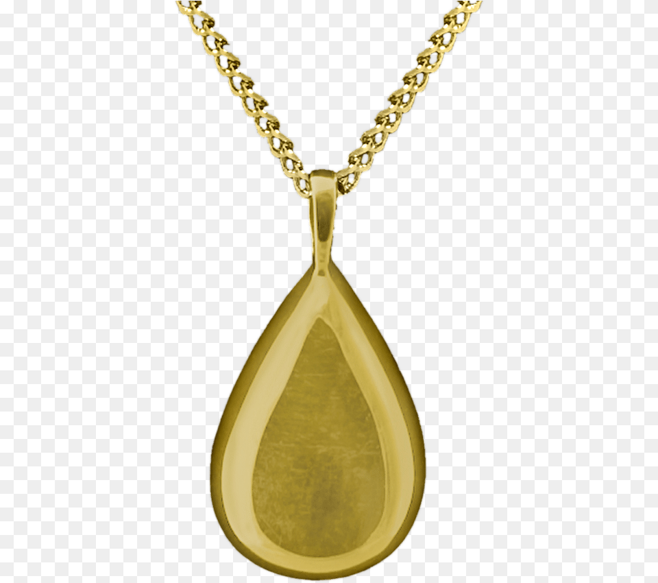 Locket, Accessories, Jewelry, Necklace, Pendant Free Png