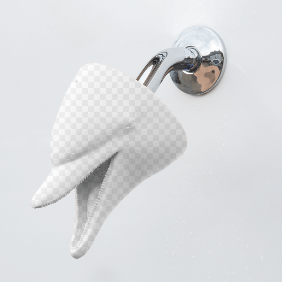 Locket, Animal, Sea Life Free Transparent Png