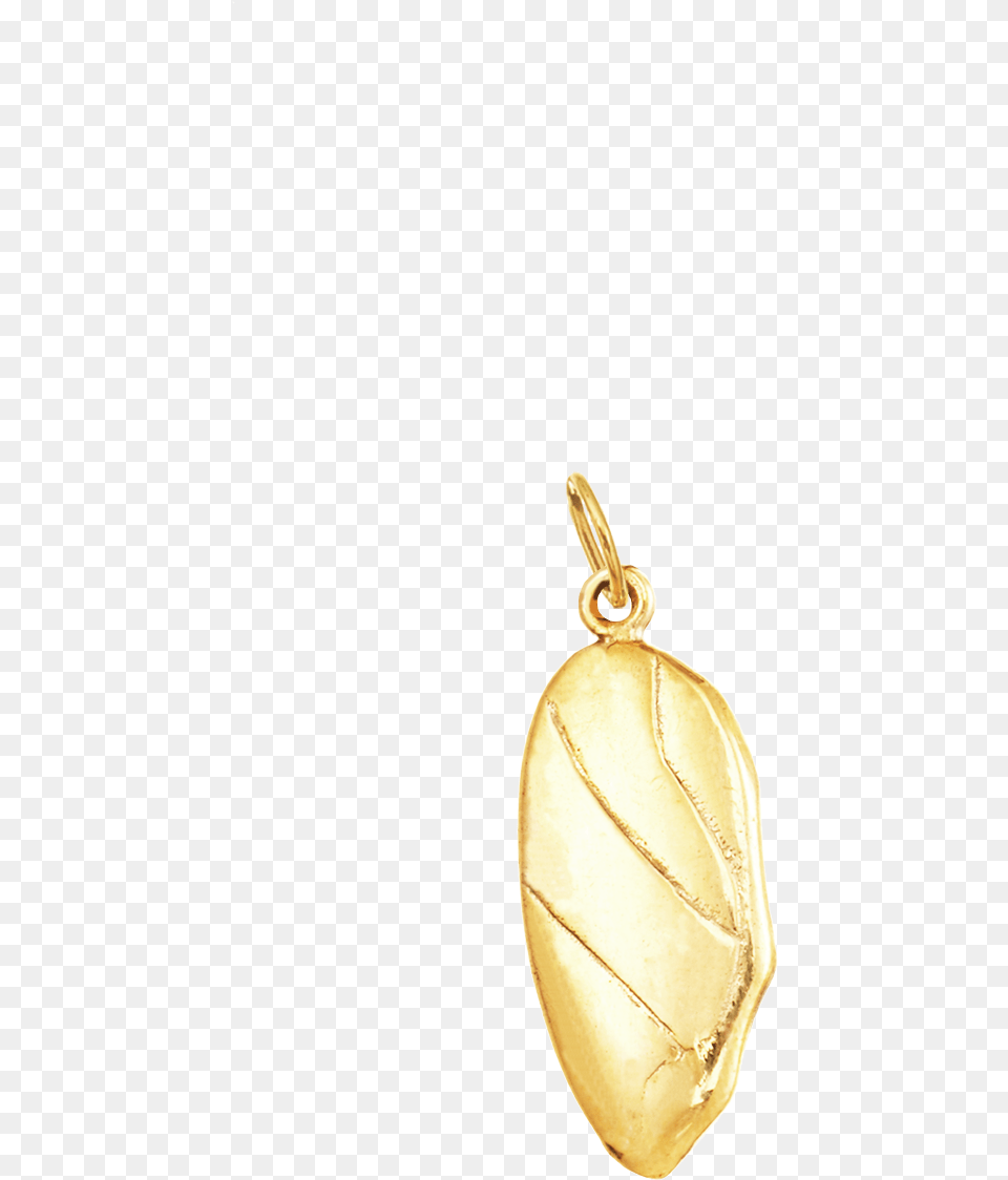 Locket, Accessories, Pendant, Jewelry, Gold Free Transparent Png