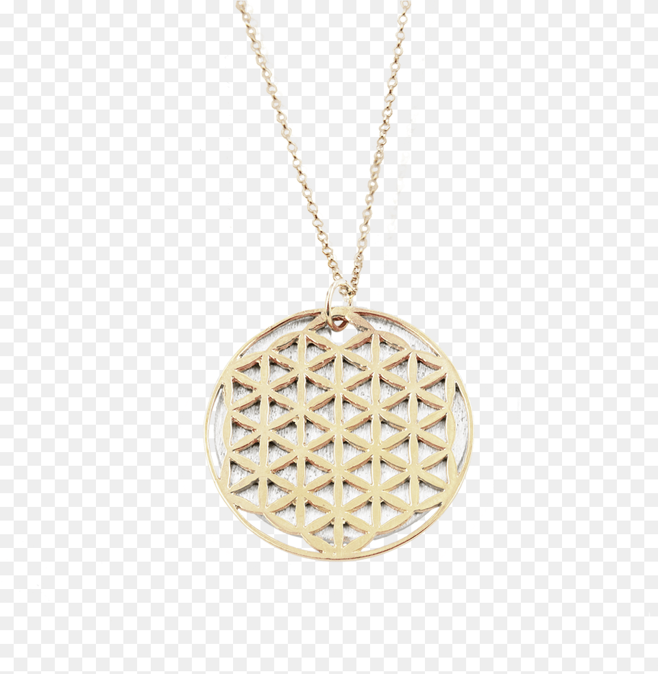 Locket, Accessories, Jewelry, Necklace, Pendant Png Image