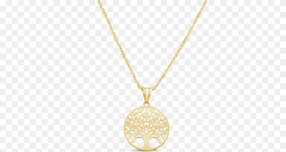 Locket, Accessories, Jewelry, Necklace, Pendant Png Image