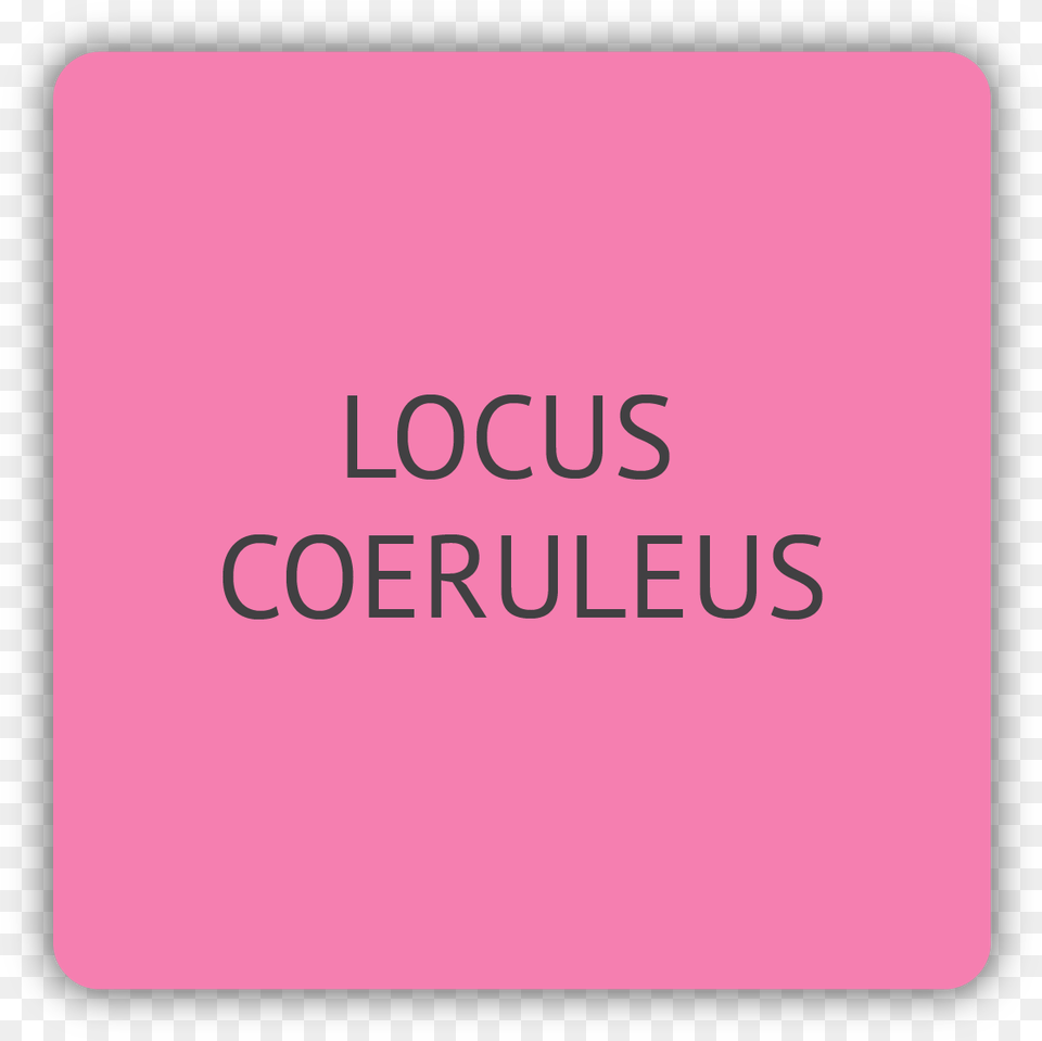 Locus Coeruleus, Text Free Png Download