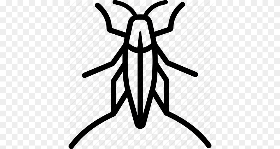 Locust Clipart Cricket Bug, Animal Png Image