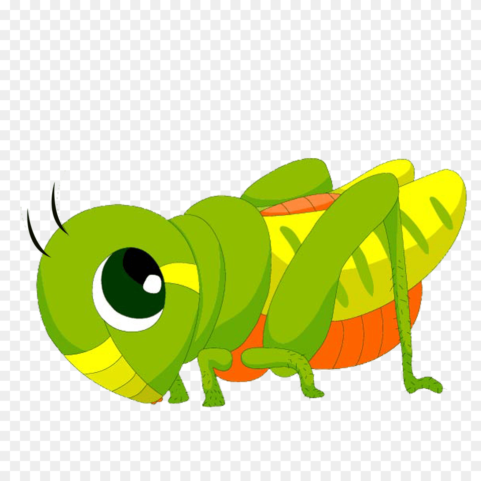 Locust Clipart Plague, Animal, Grasshopper, Insect, Invertebrate Png