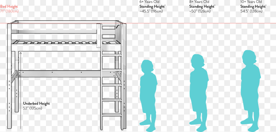 Loft Bed Height Clearance, Bunk Bed, Furniture, Person, Head Free Png Download