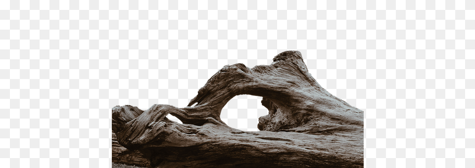 Log Wood, Driftwood Png