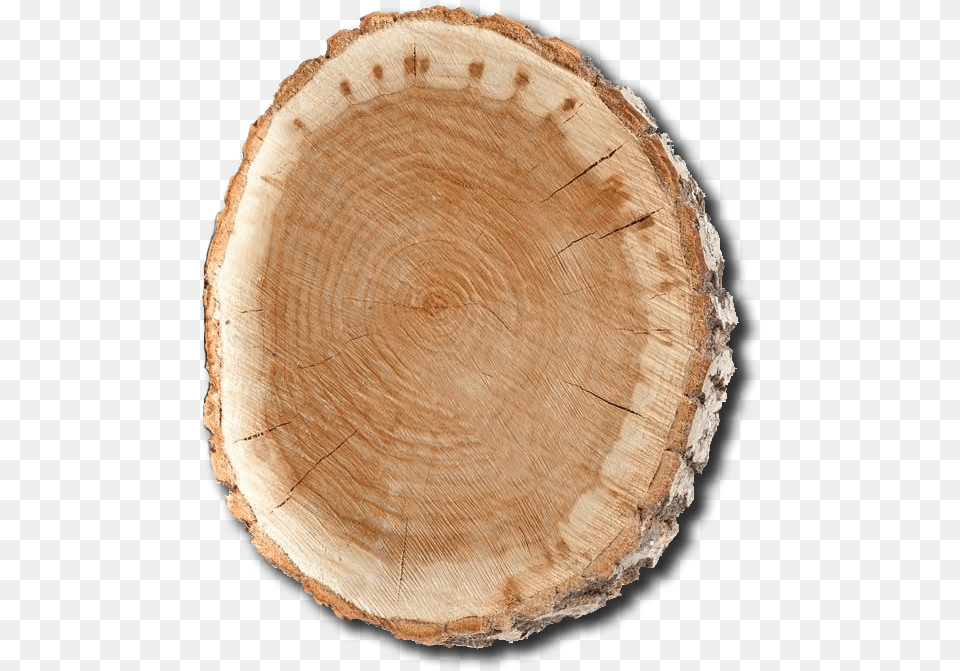 Log Front, Lumber, Plant, Tree, Wood Free Png Download