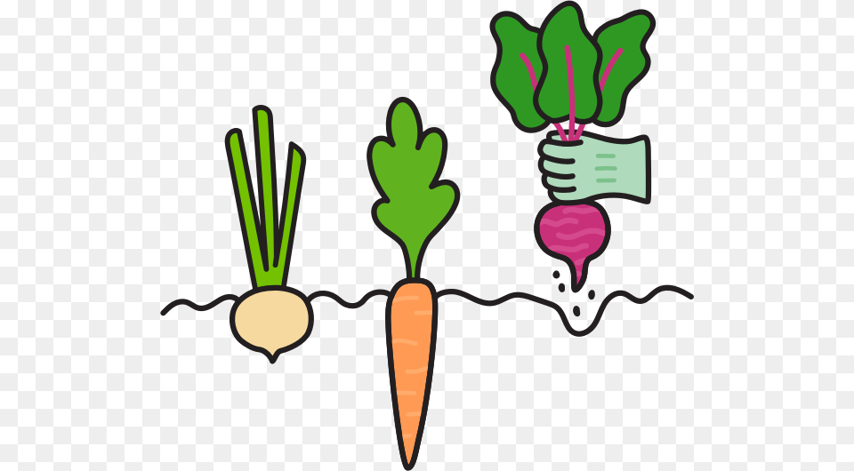 Log In To View Your Order Baby Carrot, Food, Plant, Produce, Vegetable Png