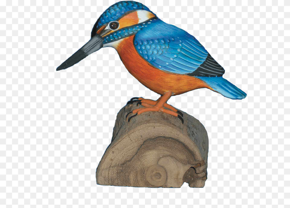 Log In To Your Account Belted Kingfisher, Animal, Beak, Bird, Jay Free Png Download