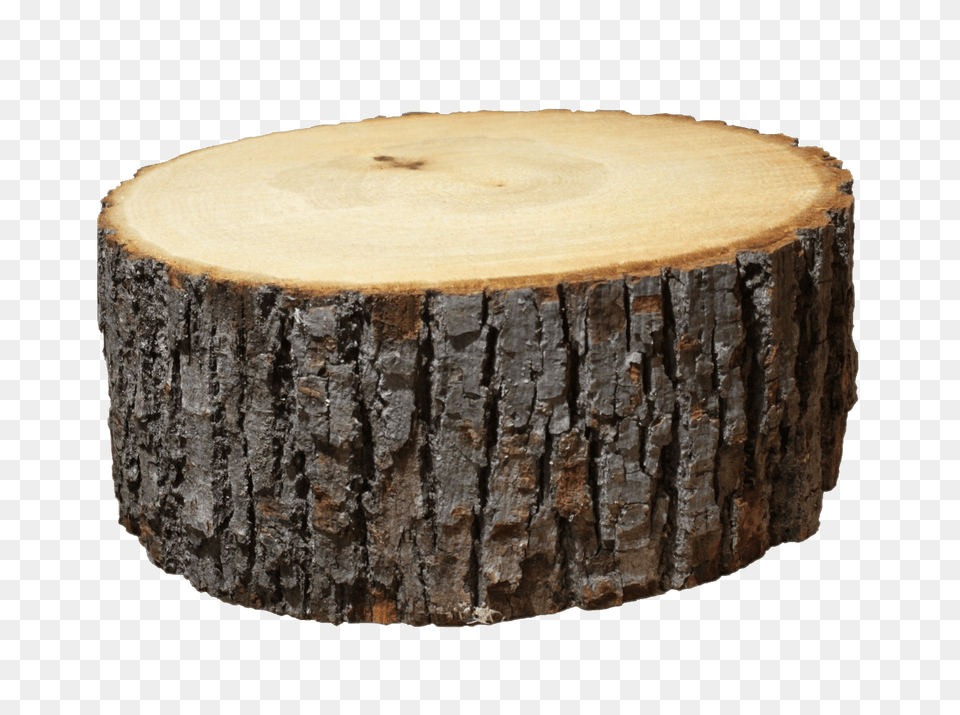 Log Section, Plant, Tree, Tree Stump, Tree Trunk Png Image
