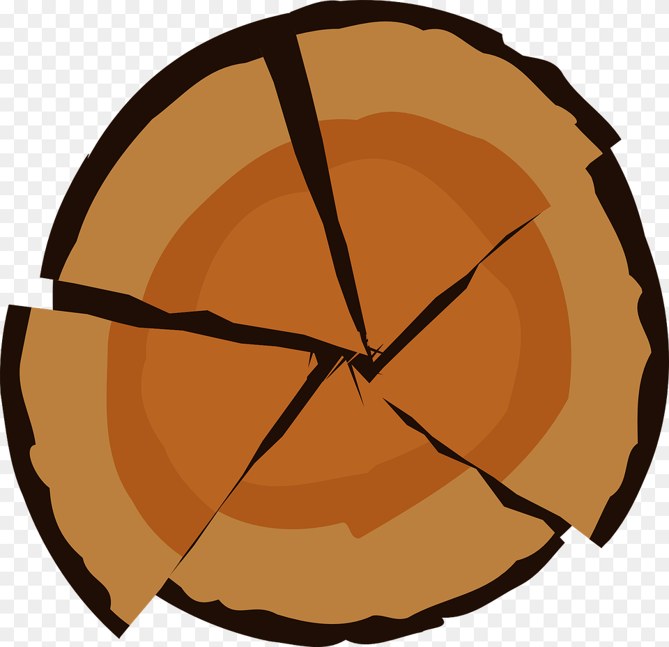 Log Wood Tree Cut Sawn Rings Section Brown Sawing Logs, Plant, Person Free Png