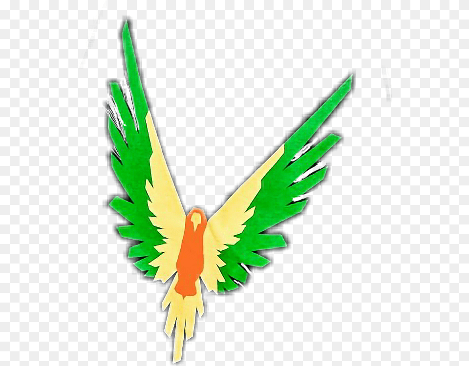 Loganpaul Maverick Maverick Movement, Animal, Bird, Parakeet, Parrot Free Transparent Png