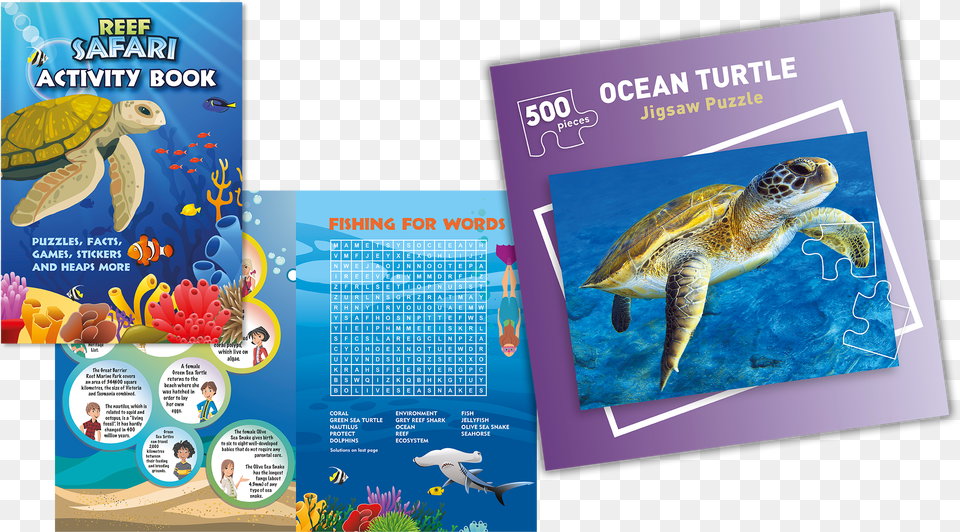 Loggerhead Sea Turtle, Advertisement, Sea Life, Reptile, Poster Png Image