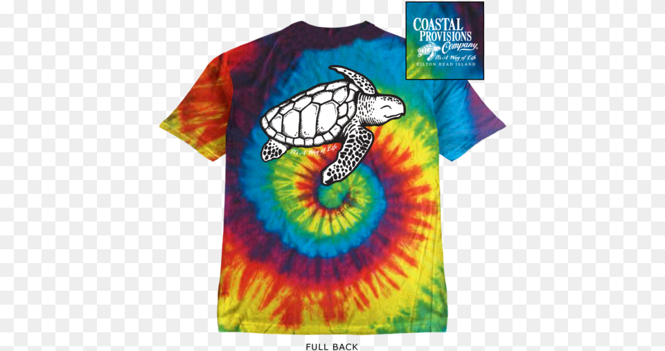 Loggerhead Sea Turtle, Dye, Animal, Reptile, Sea Life Png Image