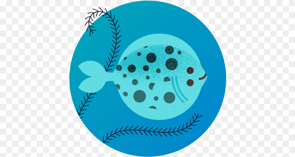 Logic Fish Fish, Pattern, Animal, Sea Life, Outdoors Png Image