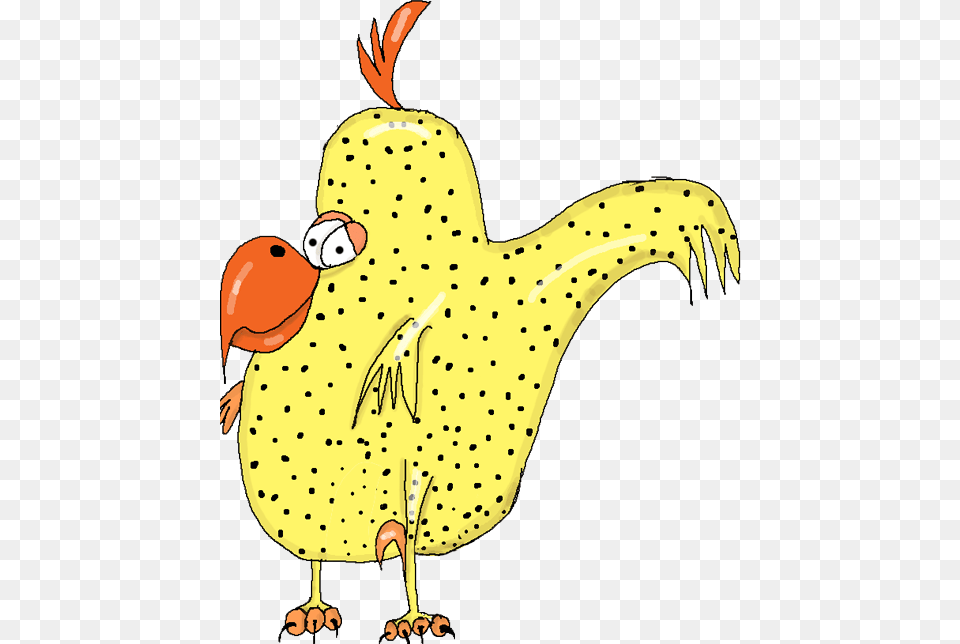 Login, Animal, Bird Png Image