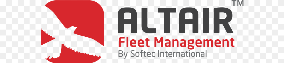 Login, Animal, Bird, Vulture, Blackbird Free Transparent Png