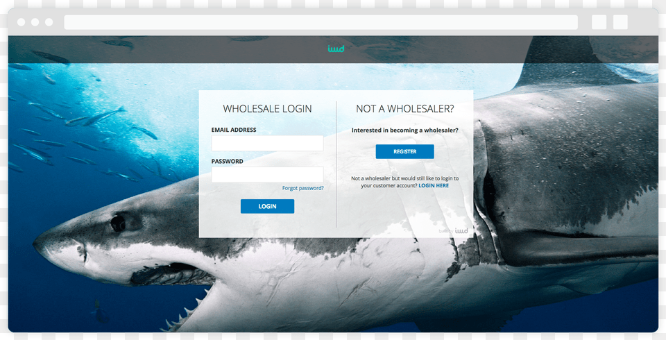 Login, Animal, Sea Life, Fish, Shark Free Png Download