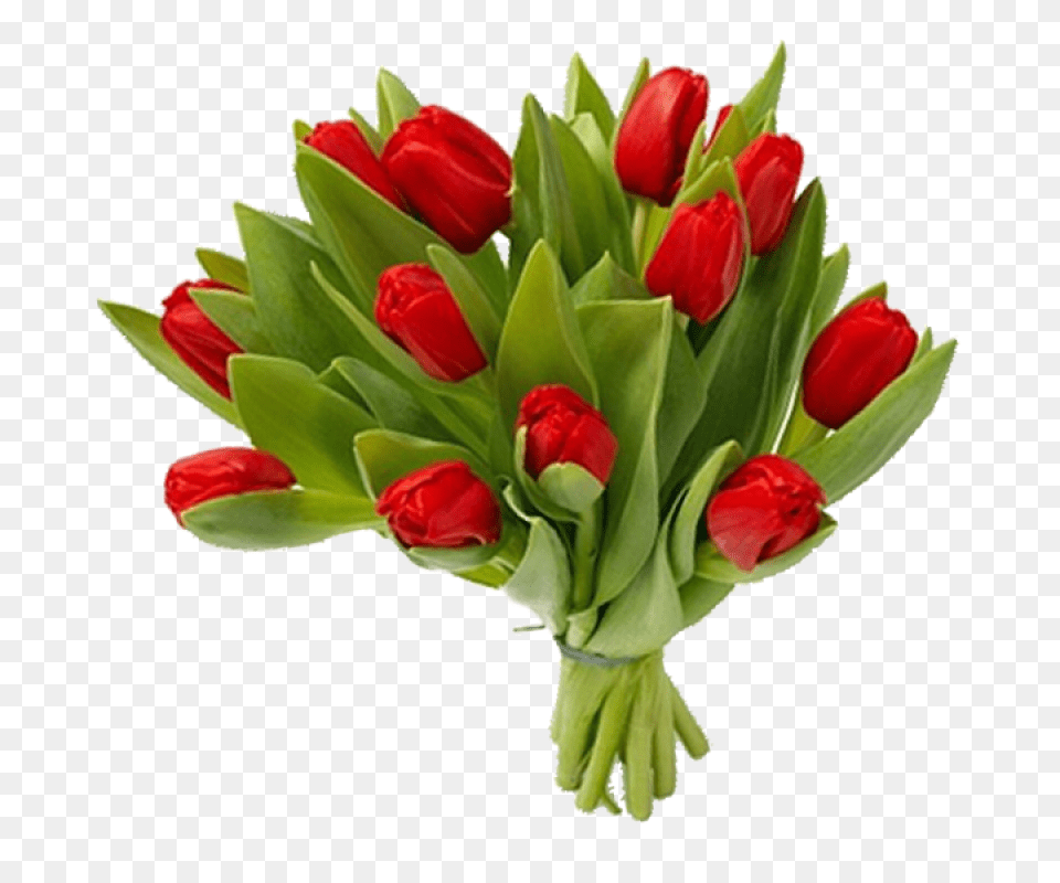 Login Bouquet Of Flowers, Flower, Flower Arrangement, Flower Bouquet, Plant Free Png
