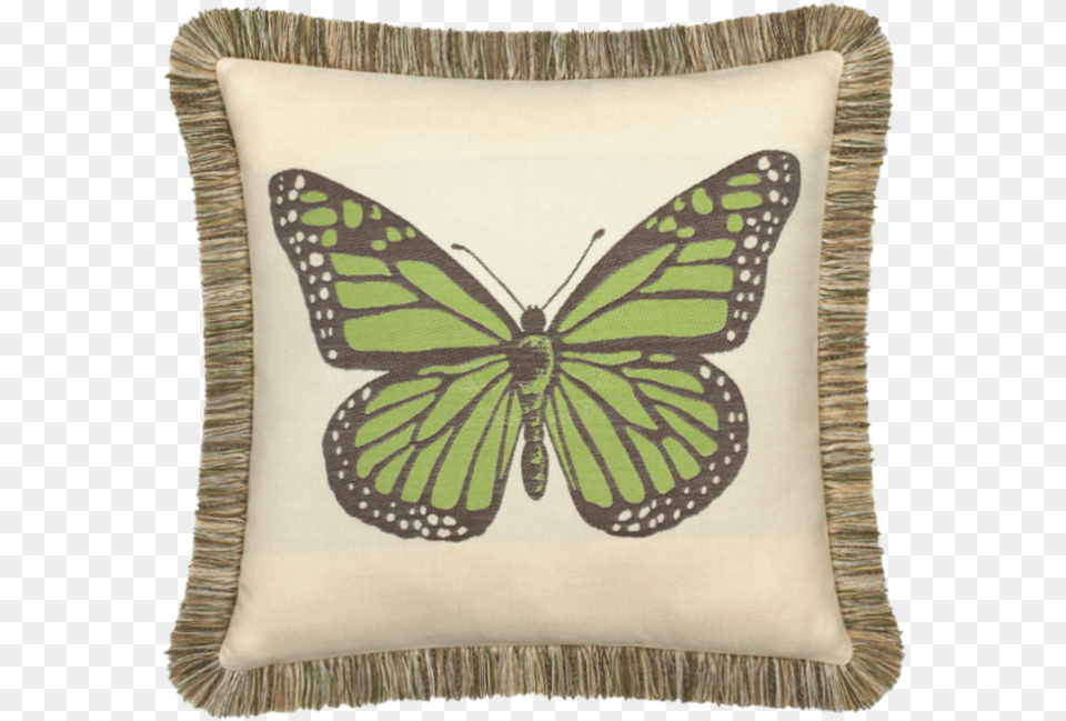 Login Butterfly Bleeding, Cushion, Home Decor, Pillow, Animal Free Transparent Png