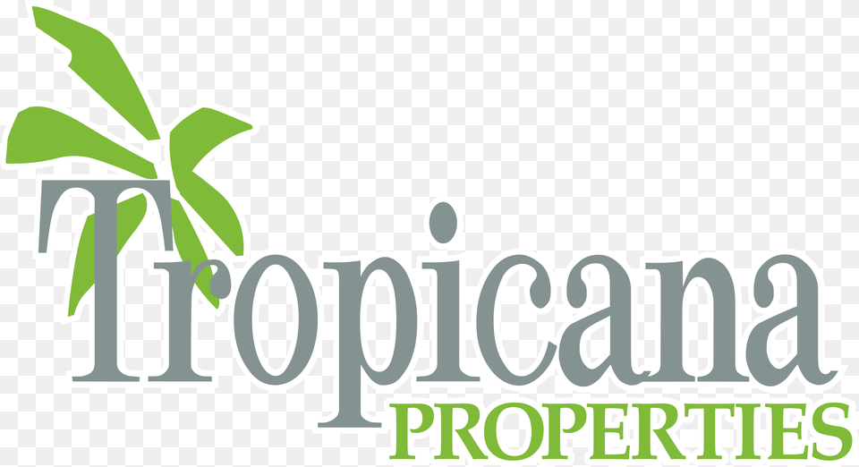 Login Tropicana Properties, Plant, Leaf, Herbs, Herbal Png Image
