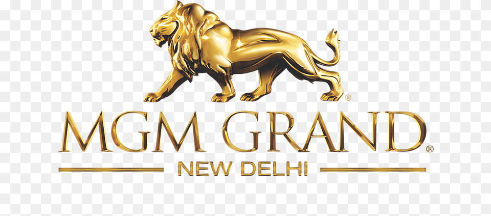 Logo, Gold, Animal, Lion, Mammal Free Transparent Png