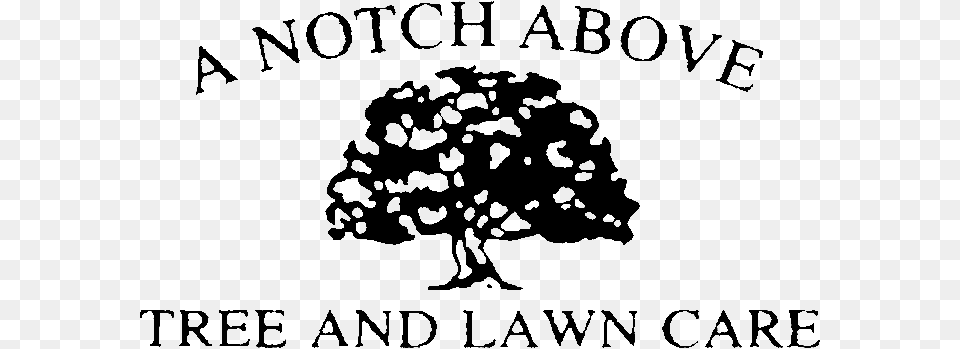 Logo, Plant, Tree, Vegetation, Text Free Png Download