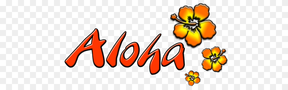 Logo Aloha Images, Flower, Petal, Plant, Hibiscus Free Png Download