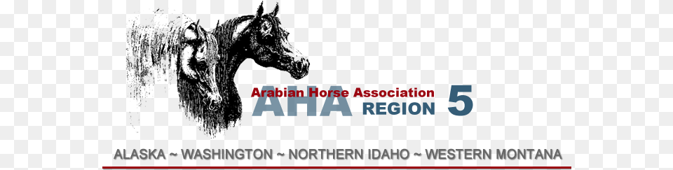 Logo Arabian Horse Association, Animal, Mammal, Chandelier, Lamp Free Transparent Png