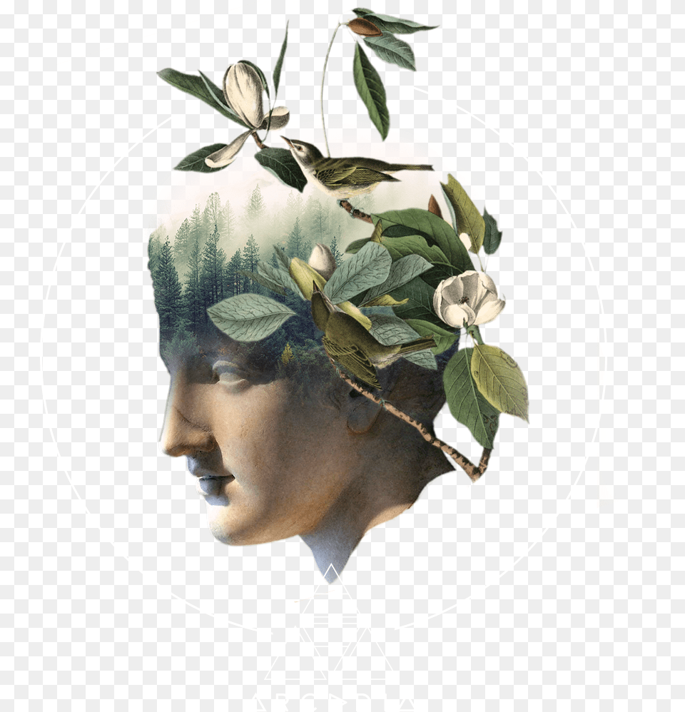 Logo Arcadia Earth Logo, Plant, Leaf, Photography, Herbs Png Image