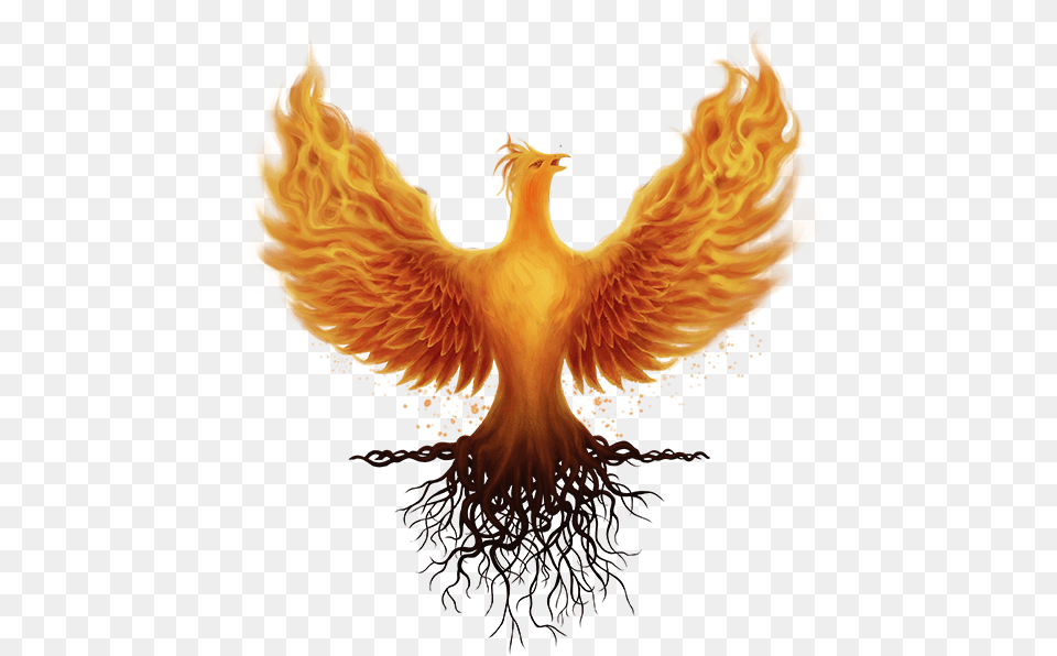 Logo Ashes Of Creation, Fire, Flame, Animal, Bird Free Png Download