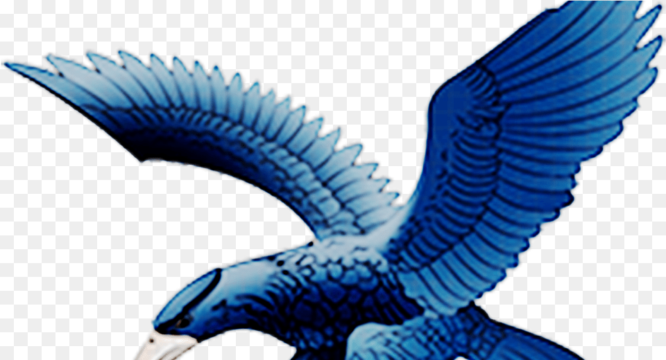 Logo Ateneo Blue Eagles, Animal, Bird, Flying, Jay Free Png Download