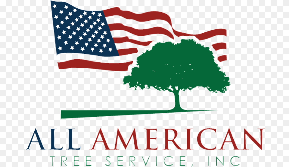 Logo Bg American Flag And Tree Logo, American Flag Png