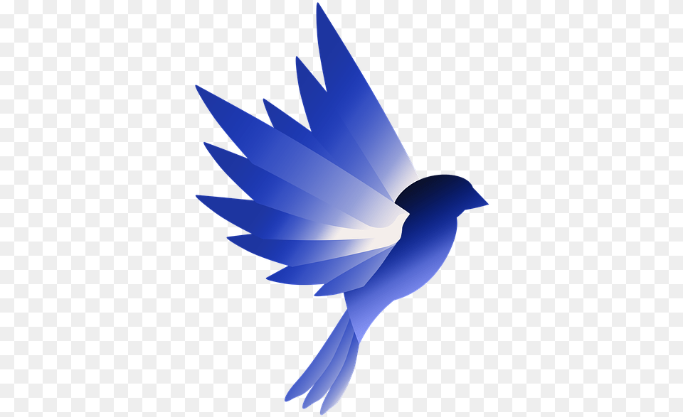 Logo Bird Blue Design Wing Animal Swallow, Jay, Fish, Sea Life, Shark Free Png Download