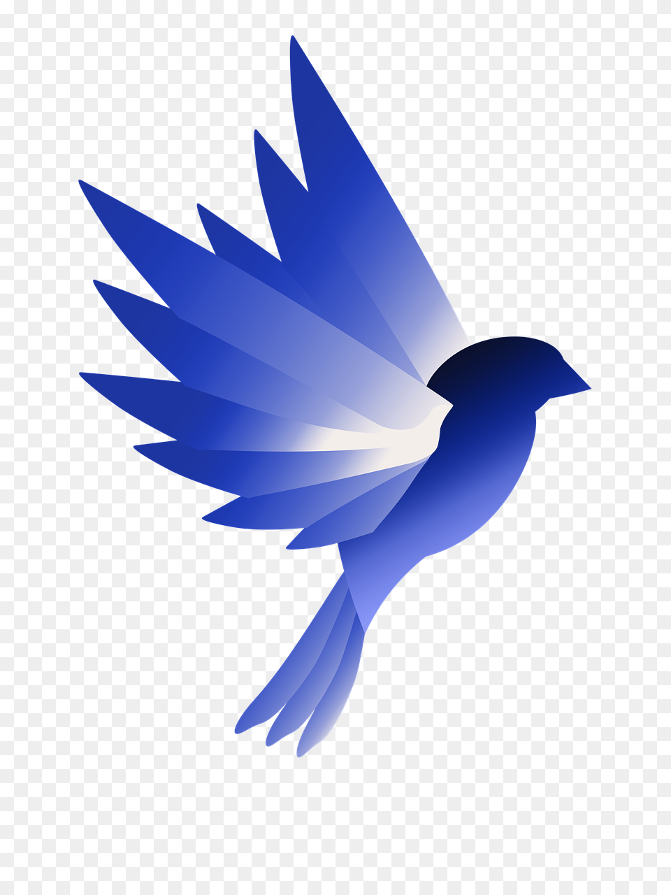 Logo Bird Blue Swallow, Animal, Jay, Blue Jay, Bluebird Free Png