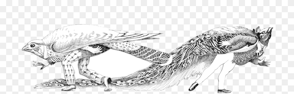 Logo Birds Illustration, Drawing, Art, Person, Female Png