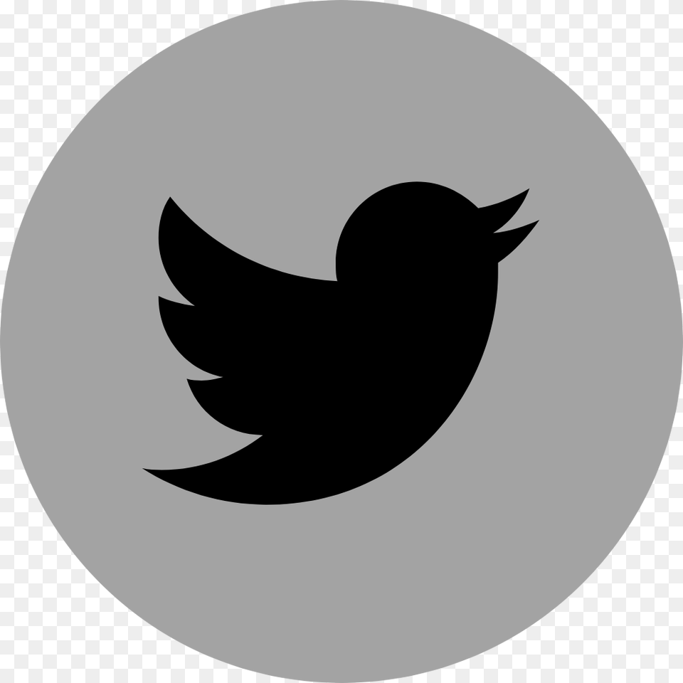 Logo Brand Social Media Marketing Corporate Identity Twitter Logo Vector, Stencil, Symbol, Animal, Fish Free Png