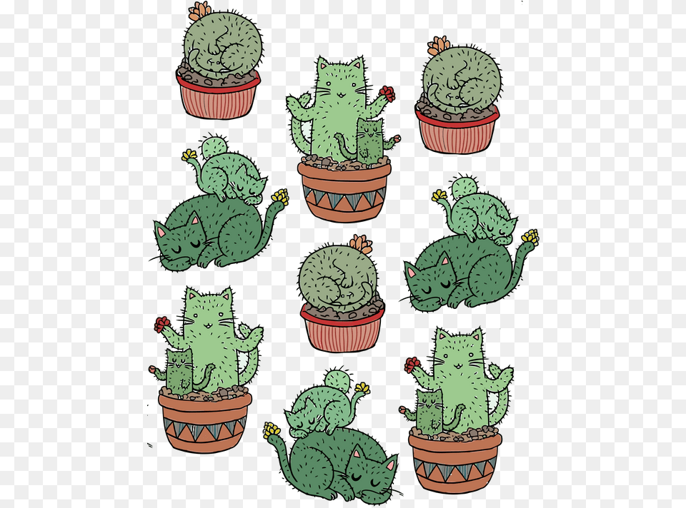 Logo Cactus Cats, Green, Baby, Person, Plant Free Png Download