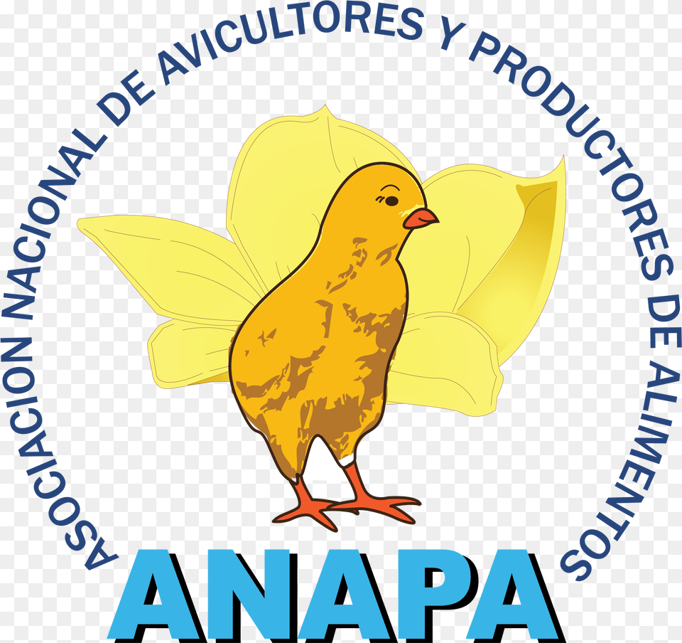 Logo Centro De Psicossocial, Animal, Bird, Canary Png Image