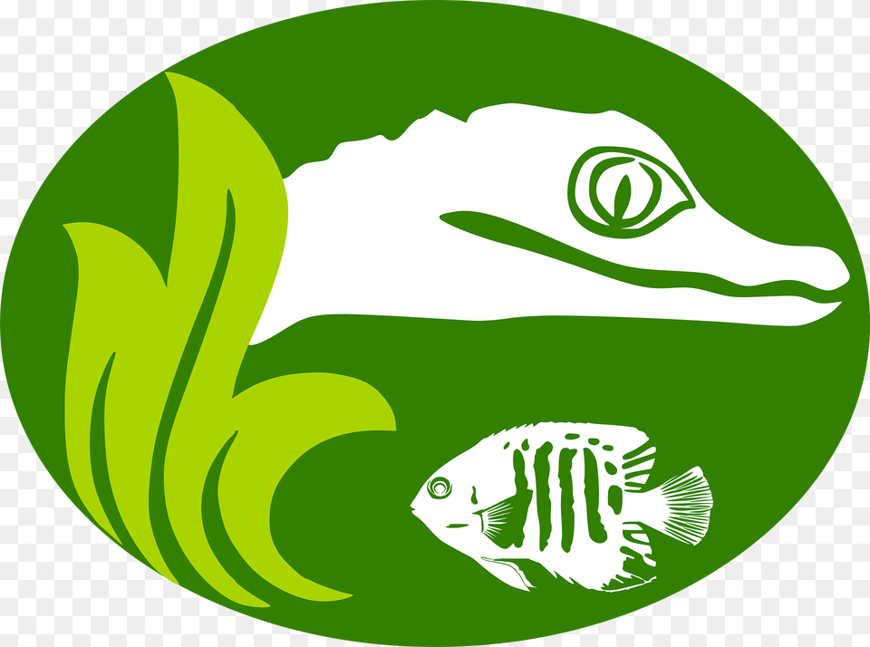 Logo Clipart, Animal, Fish, Green, Sea Life Free Png Download