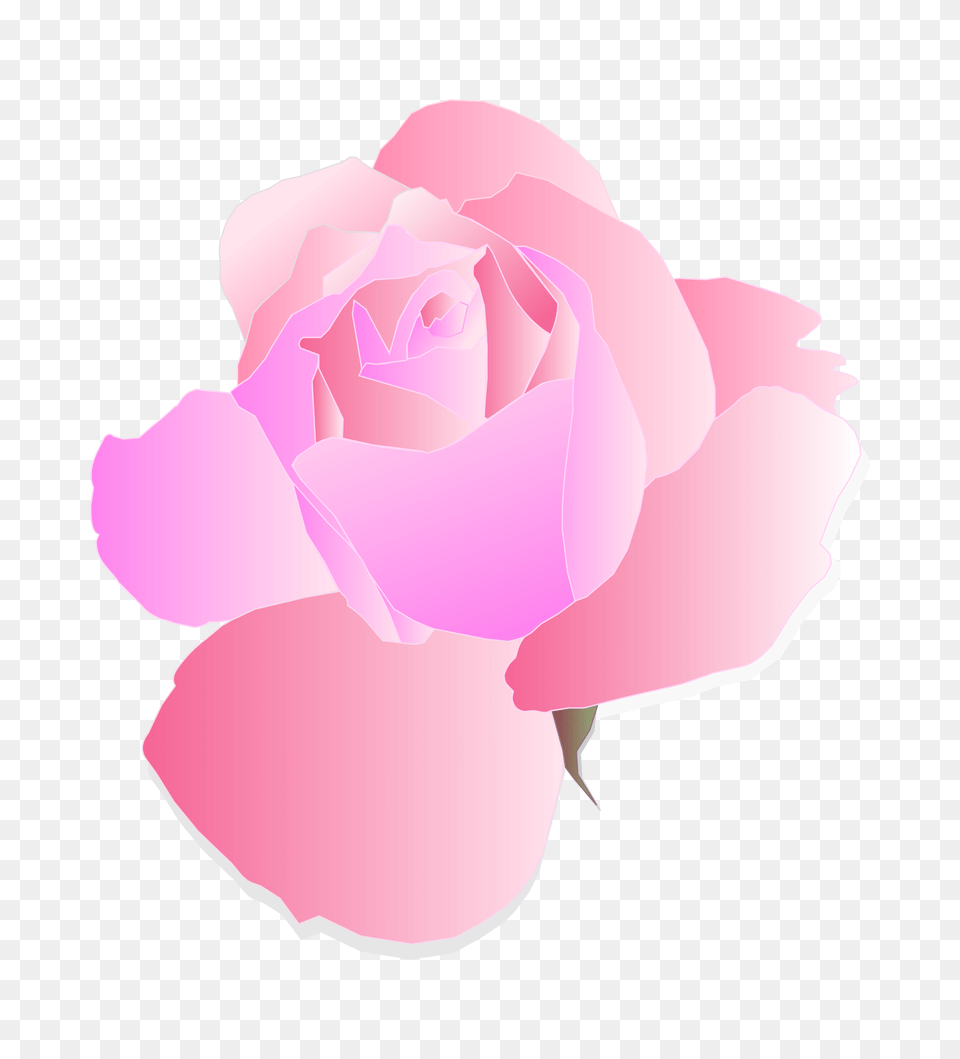 Logo Clipart Roses, Flower, Petal, Plant, Rose Free Transparent Png