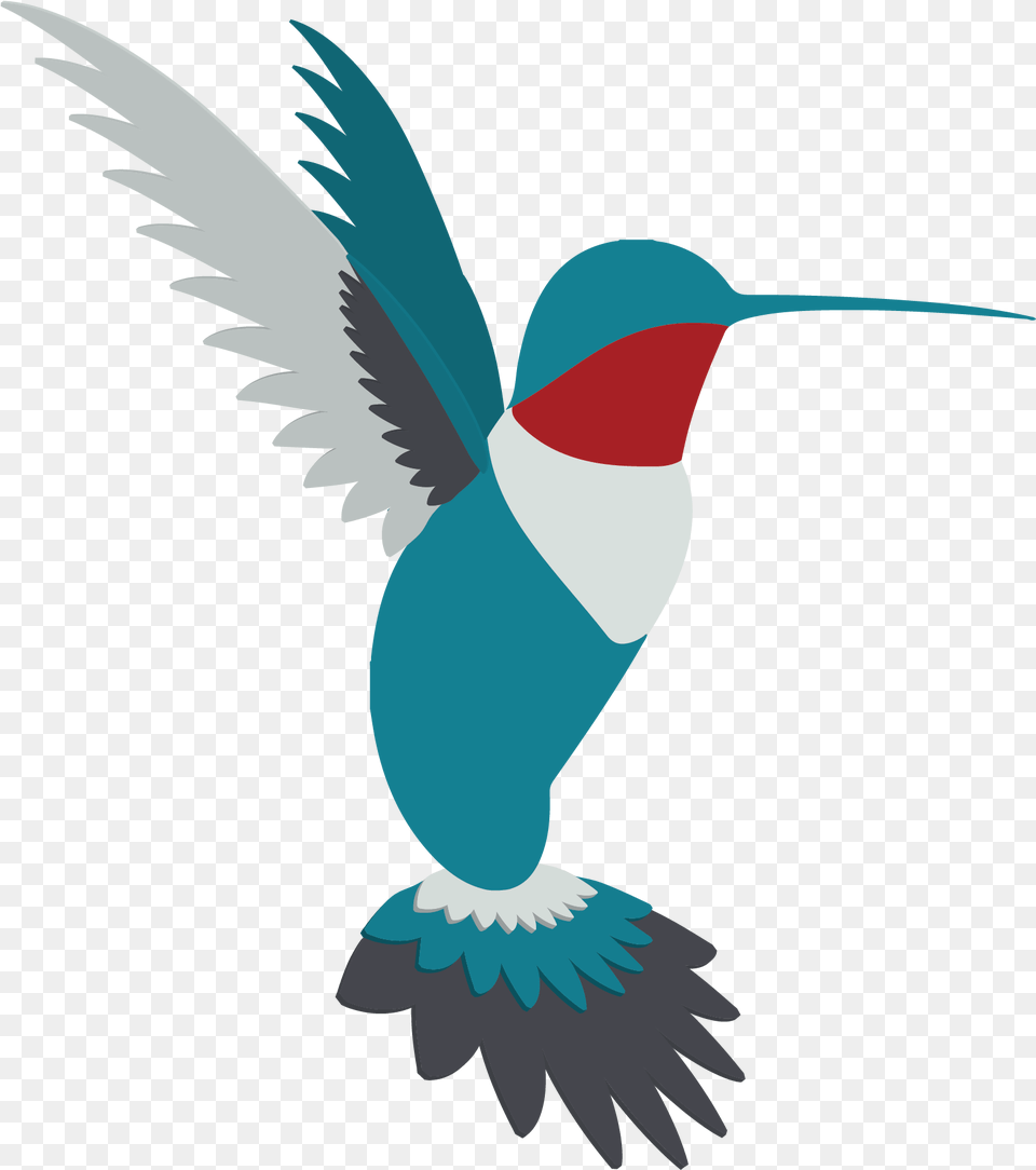 Logo Colour Vectorcolour Bird Silhouette Champlain Bird Silhouette Colour, Animal, Flying, Hummingbird Png