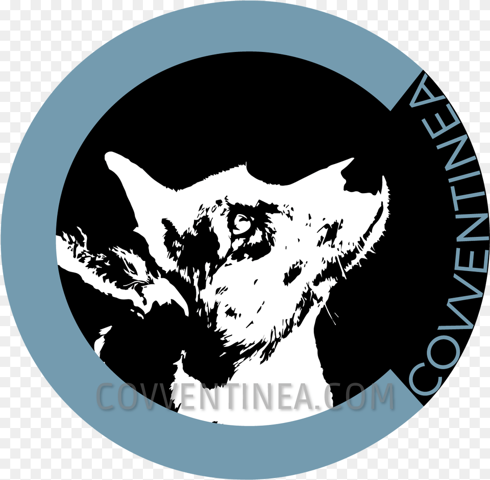 Logo Covventinea Kennel Welsh Corgi Cardigan Cardigan, Adult, Bride, Female, Person Free Png Download