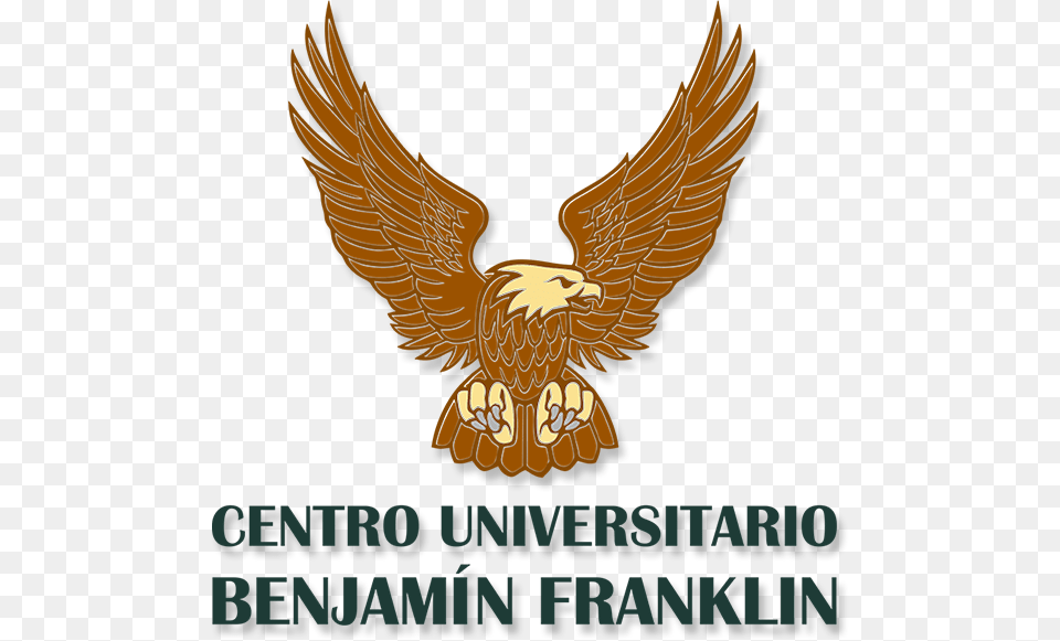 Logo Cu Benjamn Franklin Hawk, Animal, Bird, Eagle Png