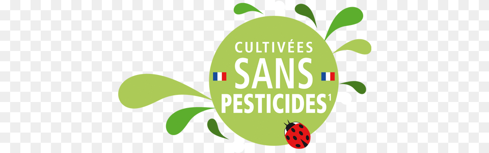 Logo Cultives Sans Pesticides Logo Produit Sans Pesticides, Green, Art, Graphics, Plant Free Png Download